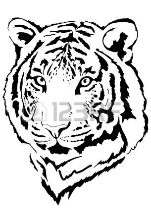 305x450 7,472 Tiger Head Stock Vector Illustration And Royalty Free Tiger
