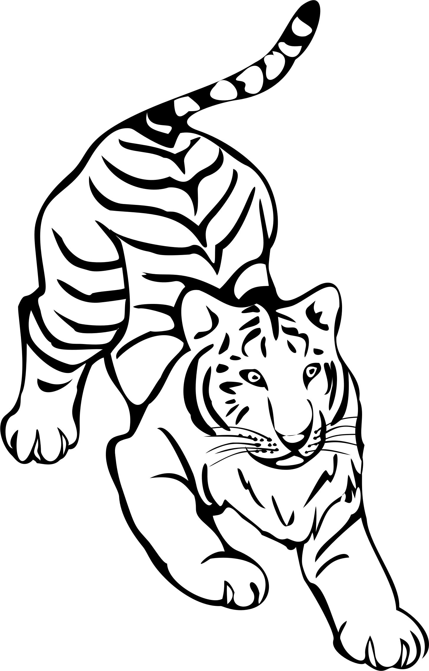 1455x2276 Tiger Line Art By Naobim Icons Png