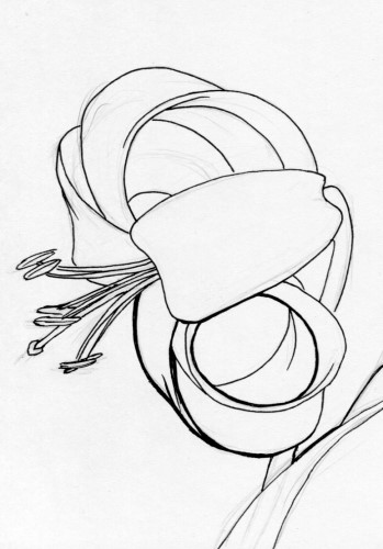 349x500 Sketch Fest!