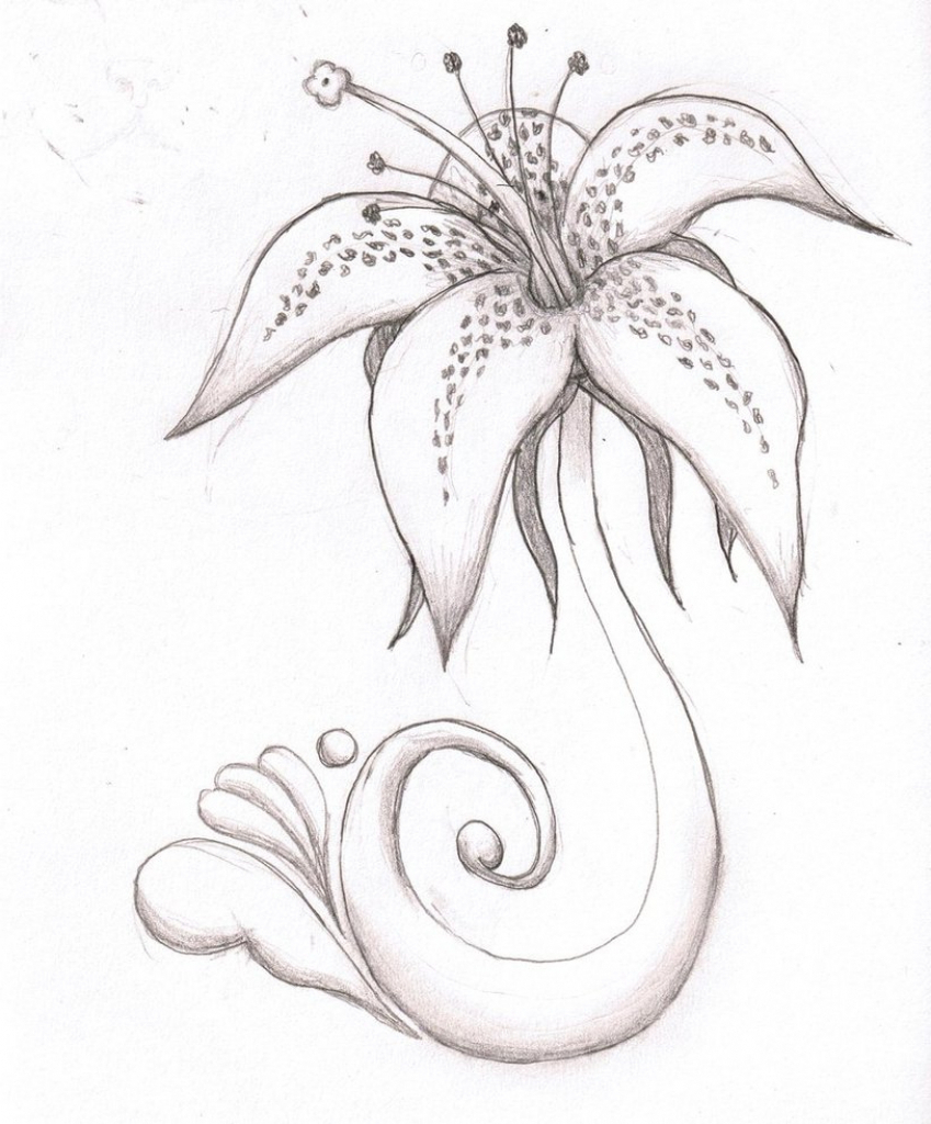 Tiger Lily Drawing at GetDrawings | Free download