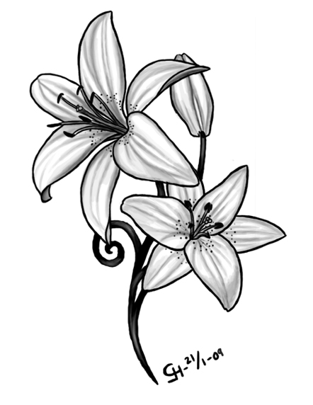 Tiger Lily Flower Drawing at GetDrawings | Free download