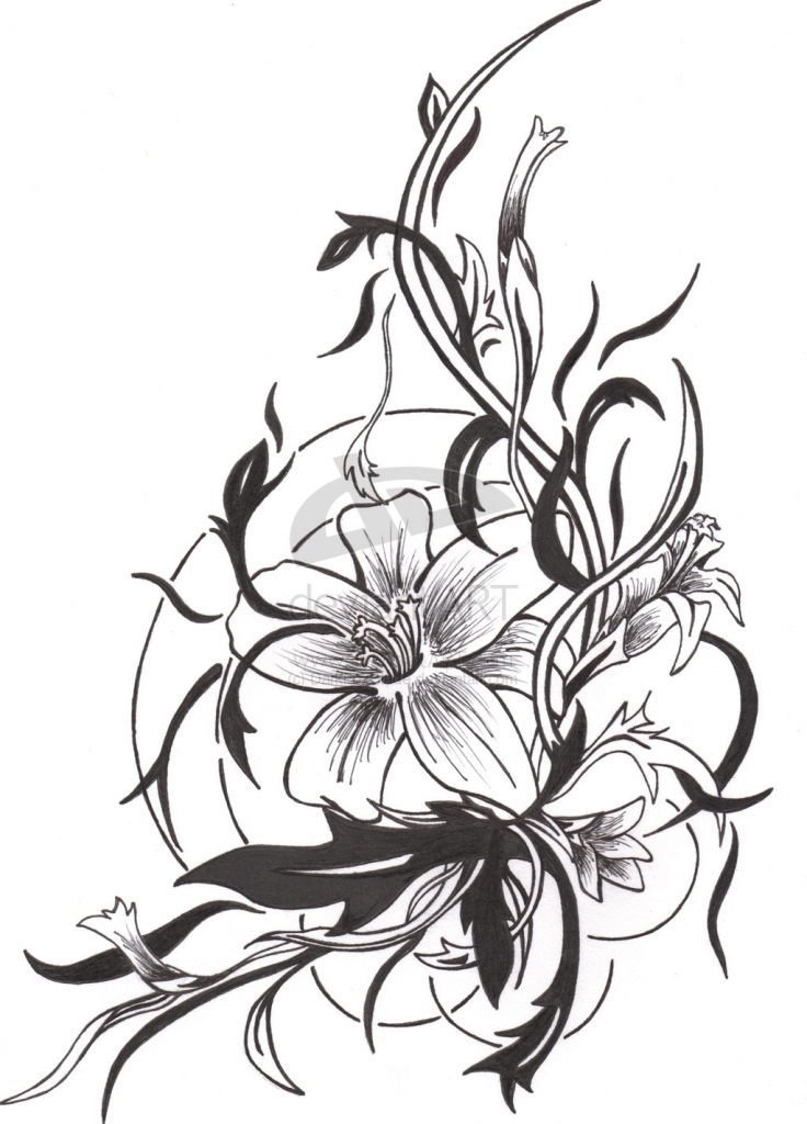 Tiger Lily Flower Drawing at GetDrawings | Free download