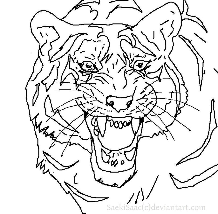 900x883 Tiger Line By Saekiisaac