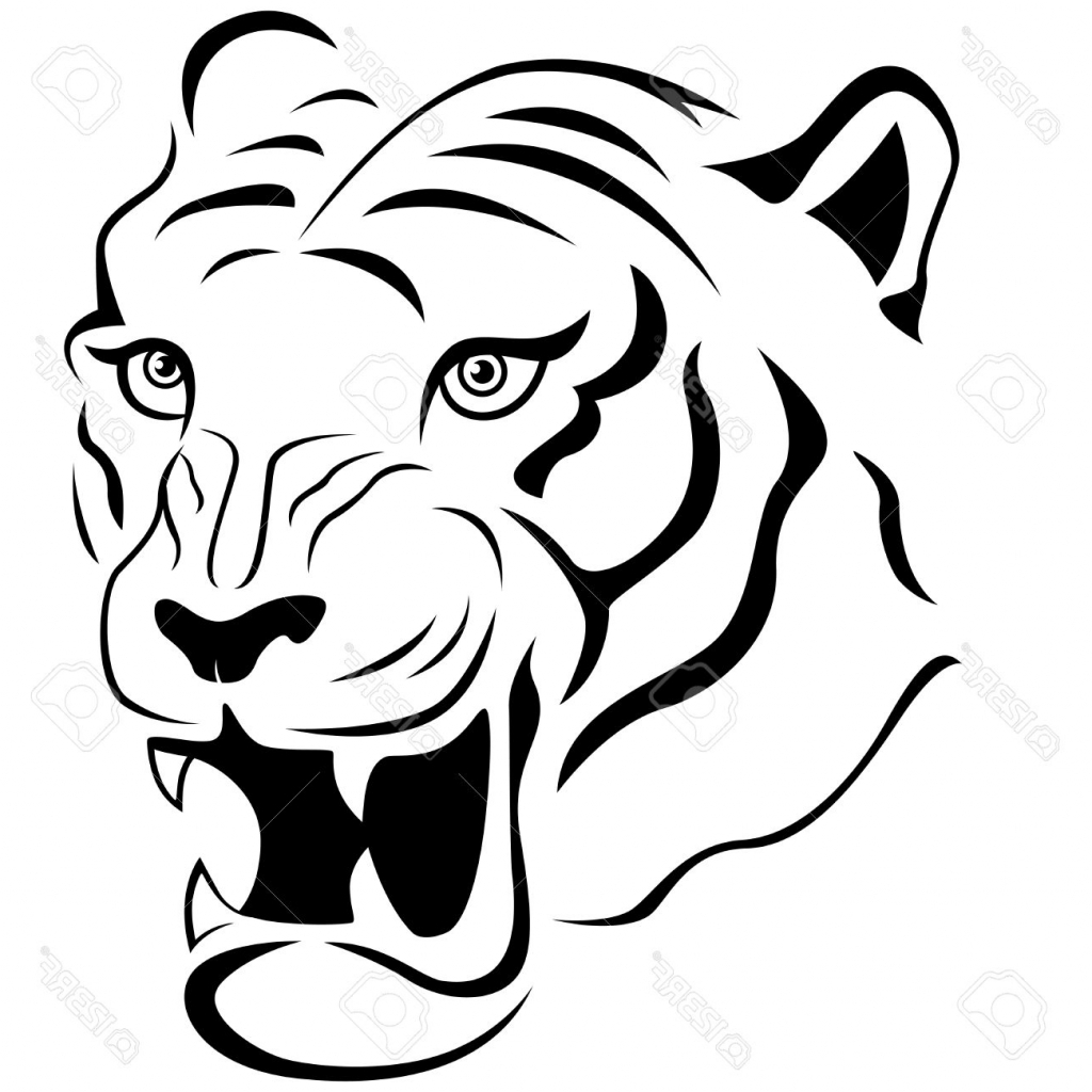 Tiger Outline Drawing at GetDrawings | Free download