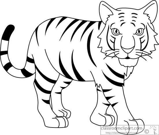550x468 Tiger Clipart Drawing