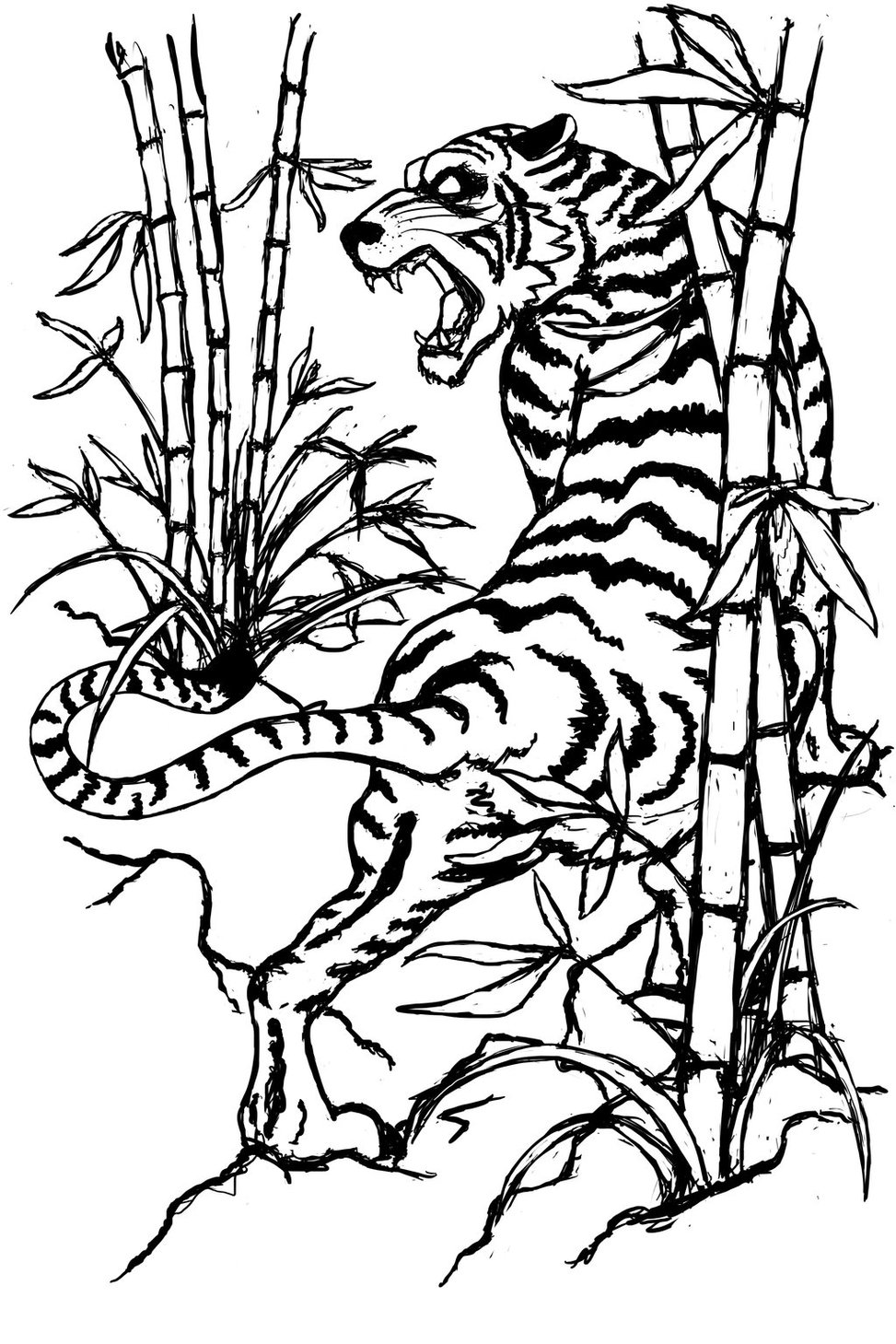 973x1459 Tiger Outline 299197