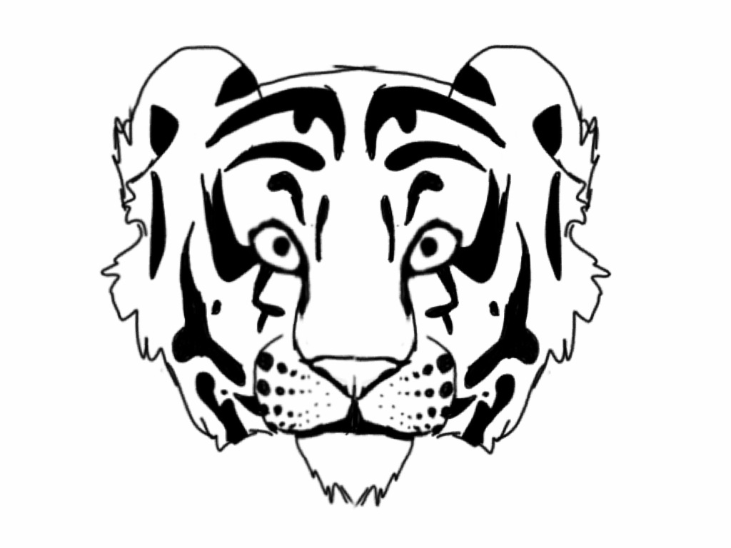 1024x768 Tiger Outline By Raynefeather25