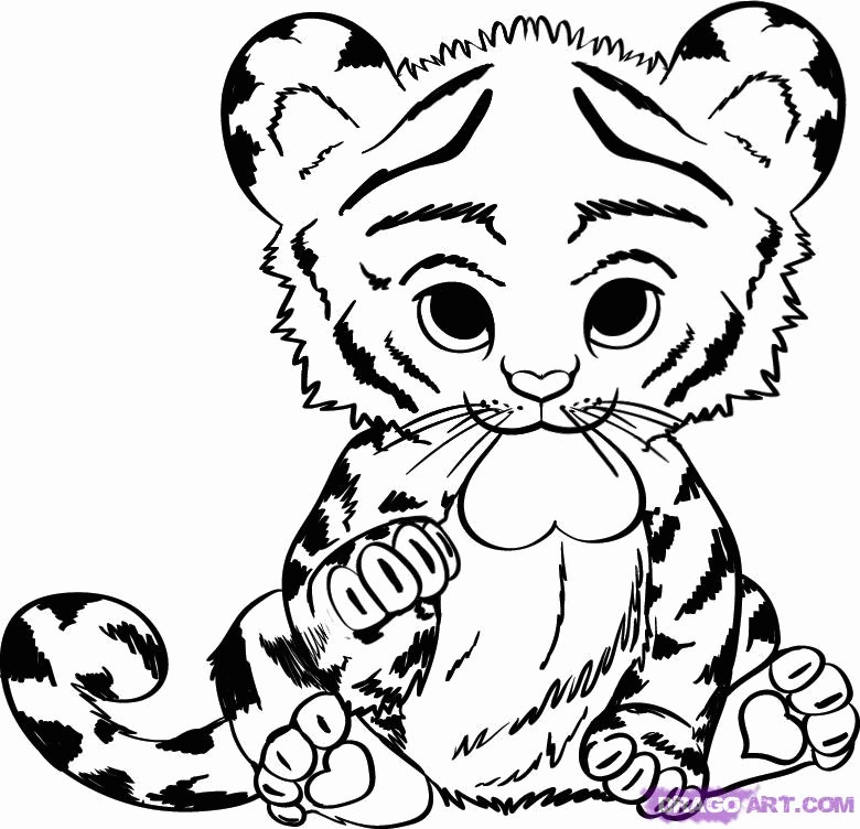 780x752 Tigers Coloring Pages Free