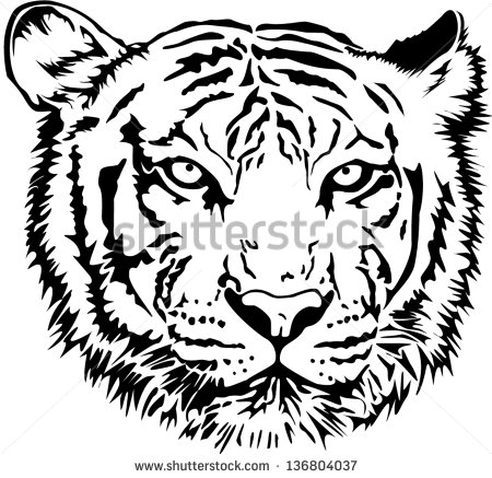 Tiger Outline Drawing at GetDrawings | Free download