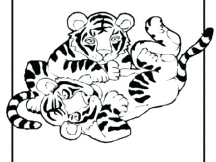 440x330 Coloring Pages Of Tiger Cute Tiger Coloring Pages Kids Coloring