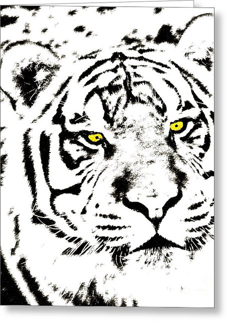 455x646 Golden Eyed Tiger Pen And Ink
