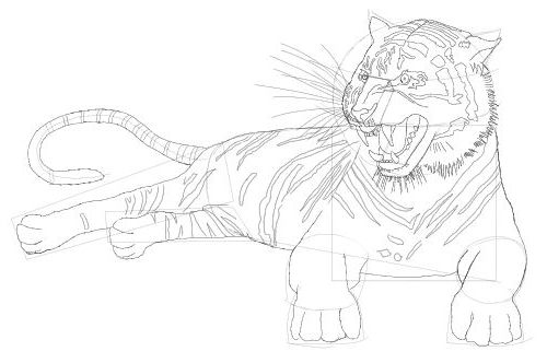 500x332 Tiger Drawing Free Drawing Lessons.