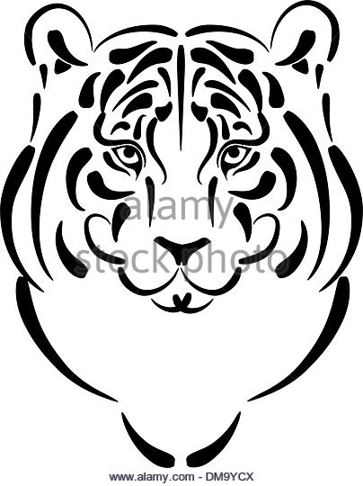 404x540 Tiger Hunting Black And White Stock Photos Amp Images