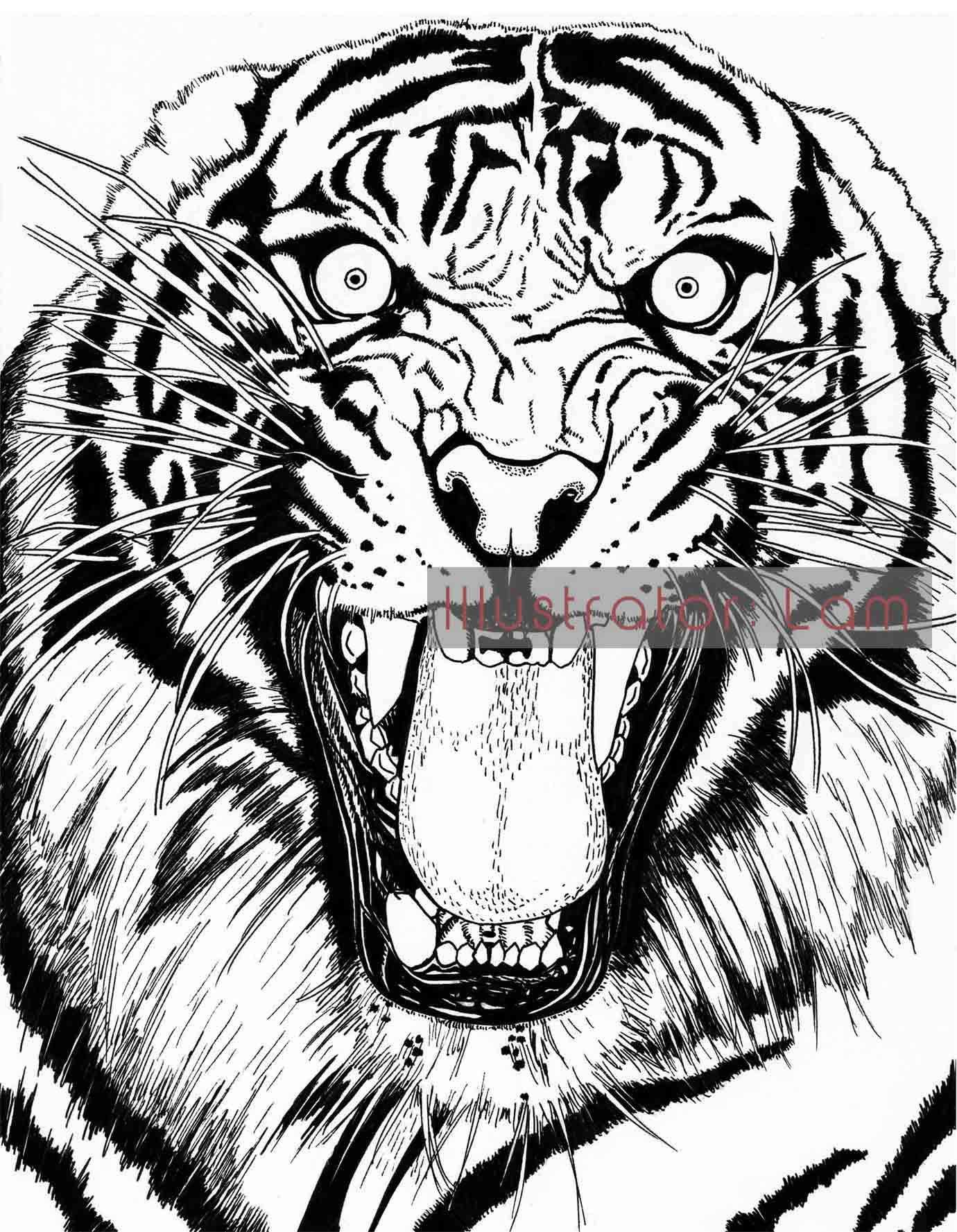 1380x1777 Year Of The Tiger 2010! Better Late Than Illustrator Lam