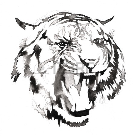 444x450 Black And White Painting With Water And Ink Draw Lion Illustration
