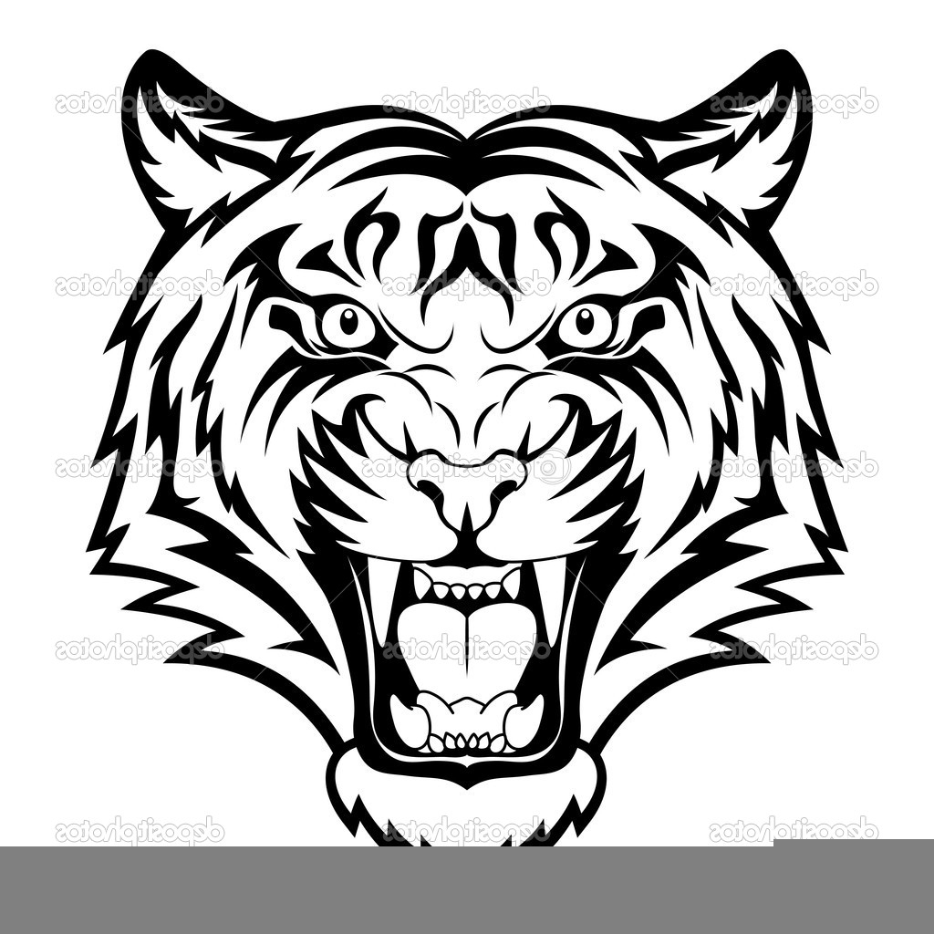 1024x1024 How To Draw A Tiger Head How To Draw A Tiger