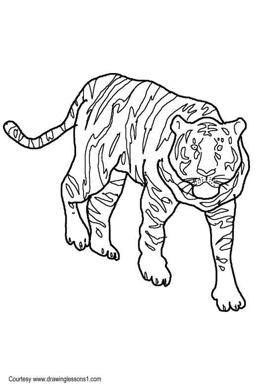 520x780 Index Of Drawingfinal