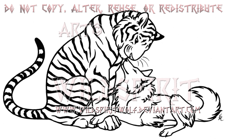 800x489 Tiger And Wolf Nuzzle Lineart Commission By Wildspiritwolf