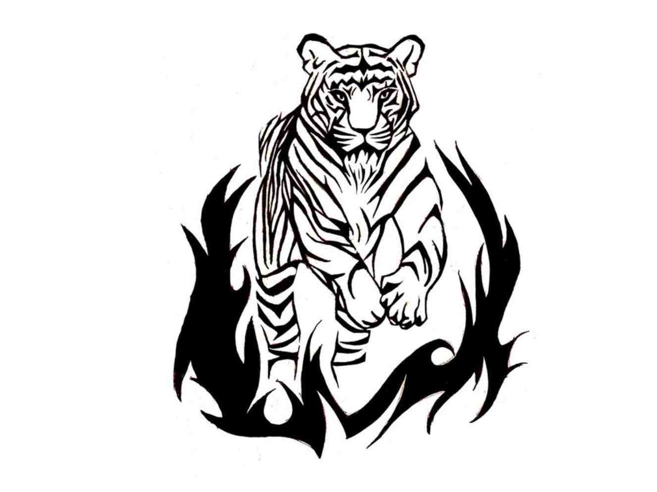 1327x995 Lion Drawings Of Tribal Tigers And Tiger Tattoo Set Photos