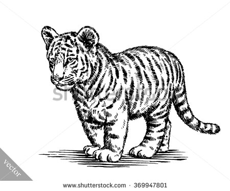 450x374 Drawn Tiger Ink Drawing