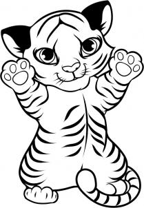 209x302 How To Draw A Tiger Cub, Tiger Cub Step 9 Tiger Party