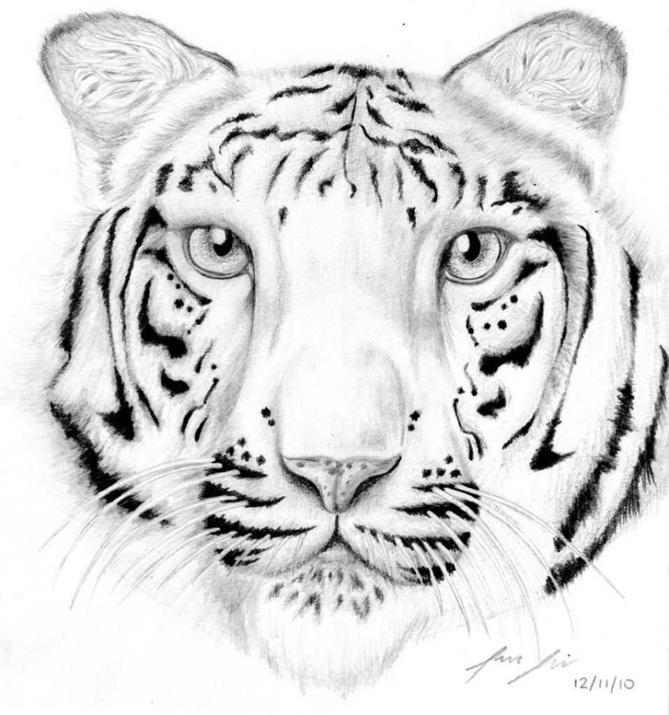 958x1024 Black And White Tiger Easy Drawings White Tiger Art Drawing Images