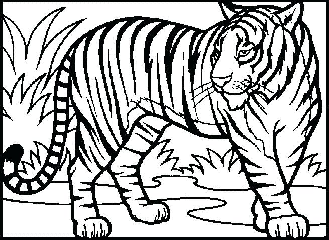655x477 Tiger Pictures To Print Tiger Coloring Page Free Printable