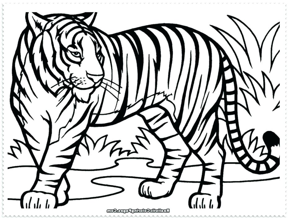 932x708 Superb Extraordinary Printable Tiger Coloring Pages Fee Sheets