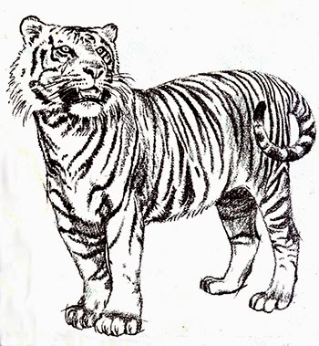 350x379 Drawing Tutorials