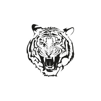 400x400 Eagle Eye Adventures