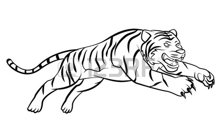 450x275 Roaring Tiger Stock Photos. Royalty Free Business Images