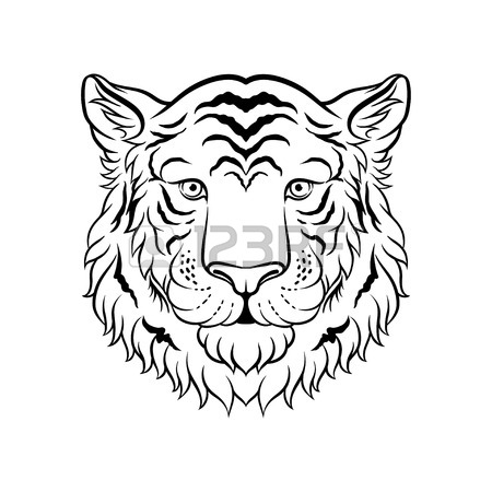 450x450 554 Black White Vector Tiger Stock Illustrations, Cliparts
