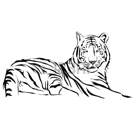 450x450 Tiger Vector Stock Photos. Royalty Free Business Images