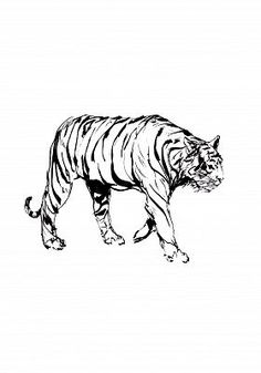 236x337 Sumi E Sumi E Tiger By Roren001 On Sumi E