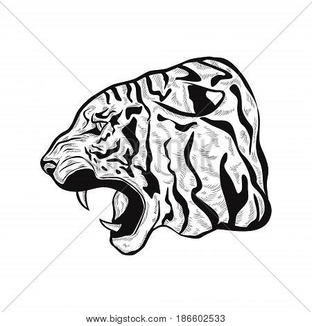 450x470 Black Tiger Images, Illustrations, Vectors