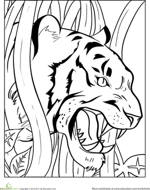 301x381 Growling Tiger Worksheet