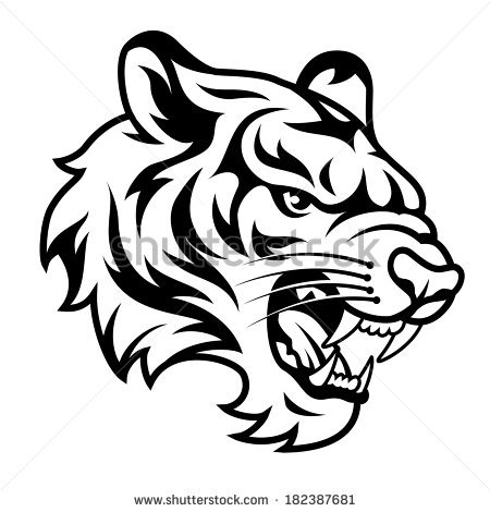 450x470 Roaring Tiger Stock Photos Images Amp Pictures Shutterstock