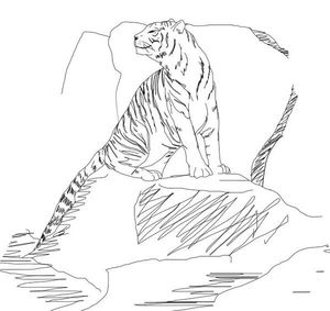 300x283 Tiger Roar Animation By Aneclipseatdusk