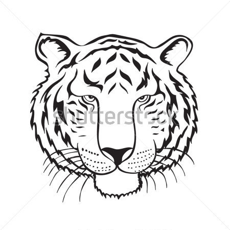 450x450 Tiger Scratch Clipart