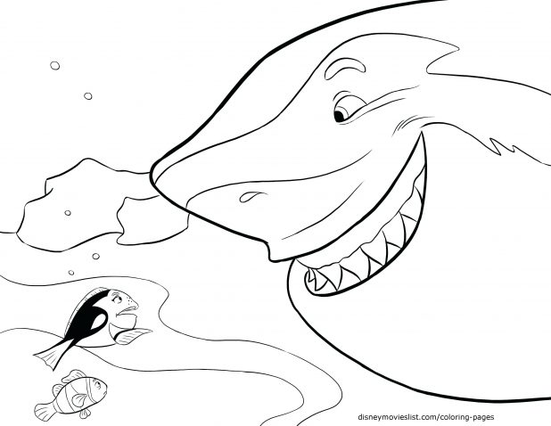 618x478 Draw Shark Coloring Pages With Additional Picture Page Sand Tiger