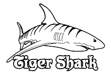 228x156 Metal Detector