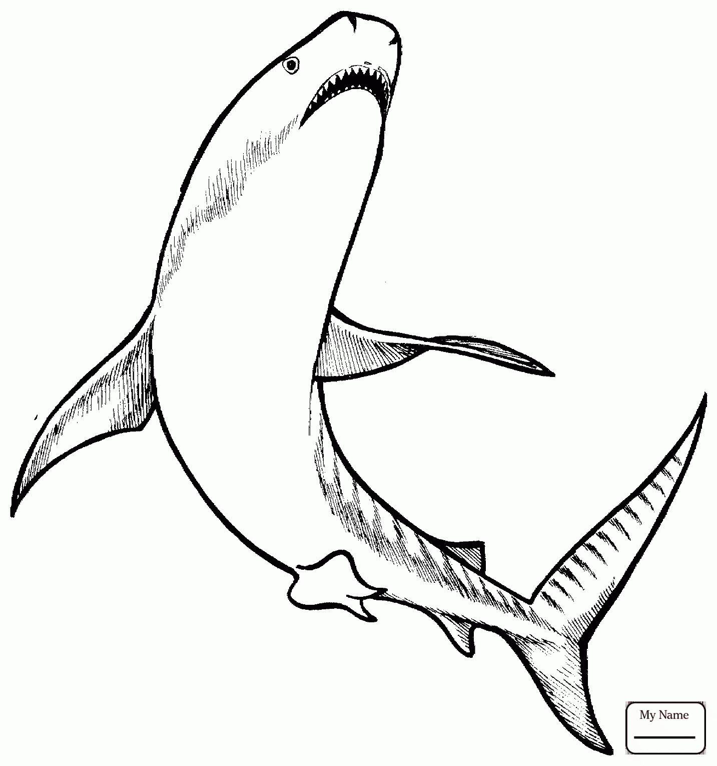 1433x1530 Tiger Shark Outline Fish Tiger Shark Coloring Pages