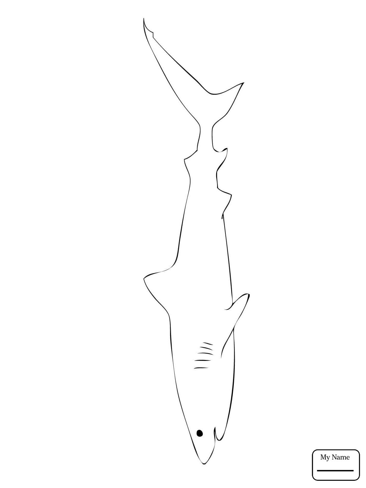 1224x1632 Fish Tiger Shark Tiger Shark 4 Tiger Shark Coloring Pages For Kids