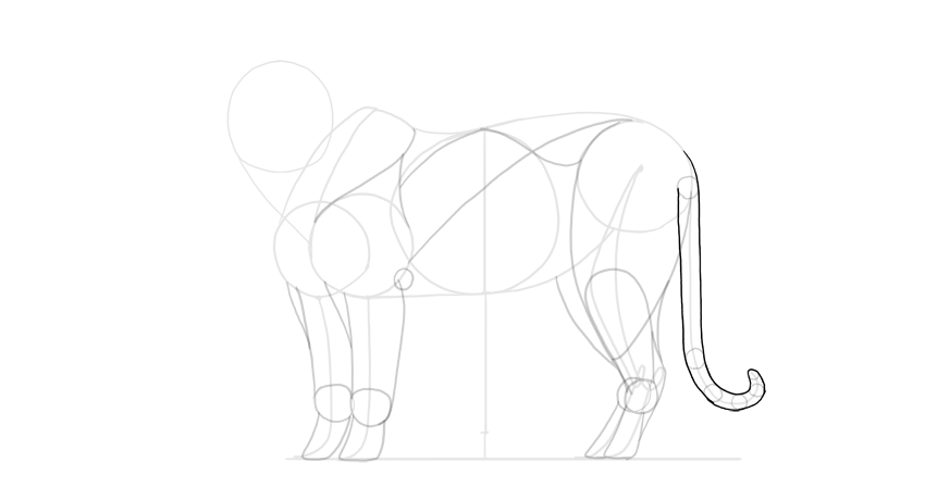 850x460 How To Draw A Tiger