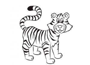 300x217 How To Draw A Tiger