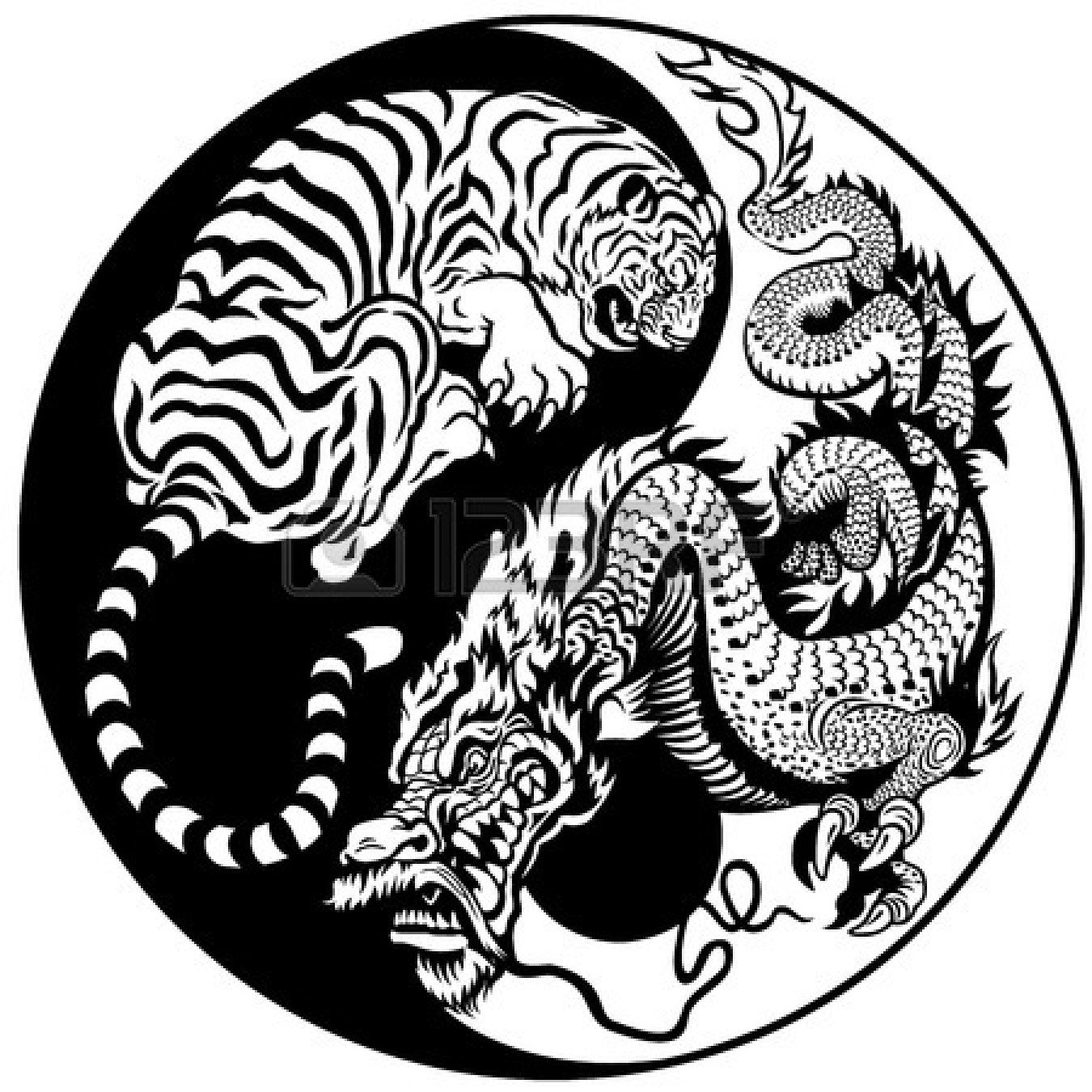 1350x1350 The Fusion Of A Tiger And A Dragon, Kempo