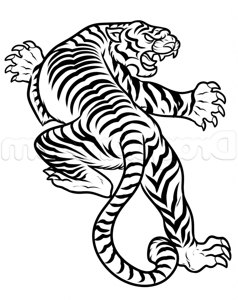 814x1024 Tiger Drawing Images How To Draw A Japanese Tiger Tattoo Step Step
