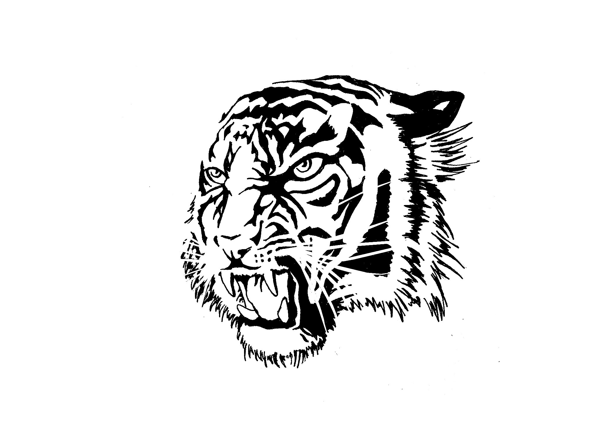 2048x1536 Tiger Tattoo Images Wallpaper