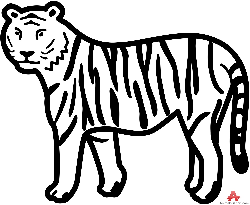 999x819 Tiger Drawing Clipart Amp Tiger Drawing Clip Art Images