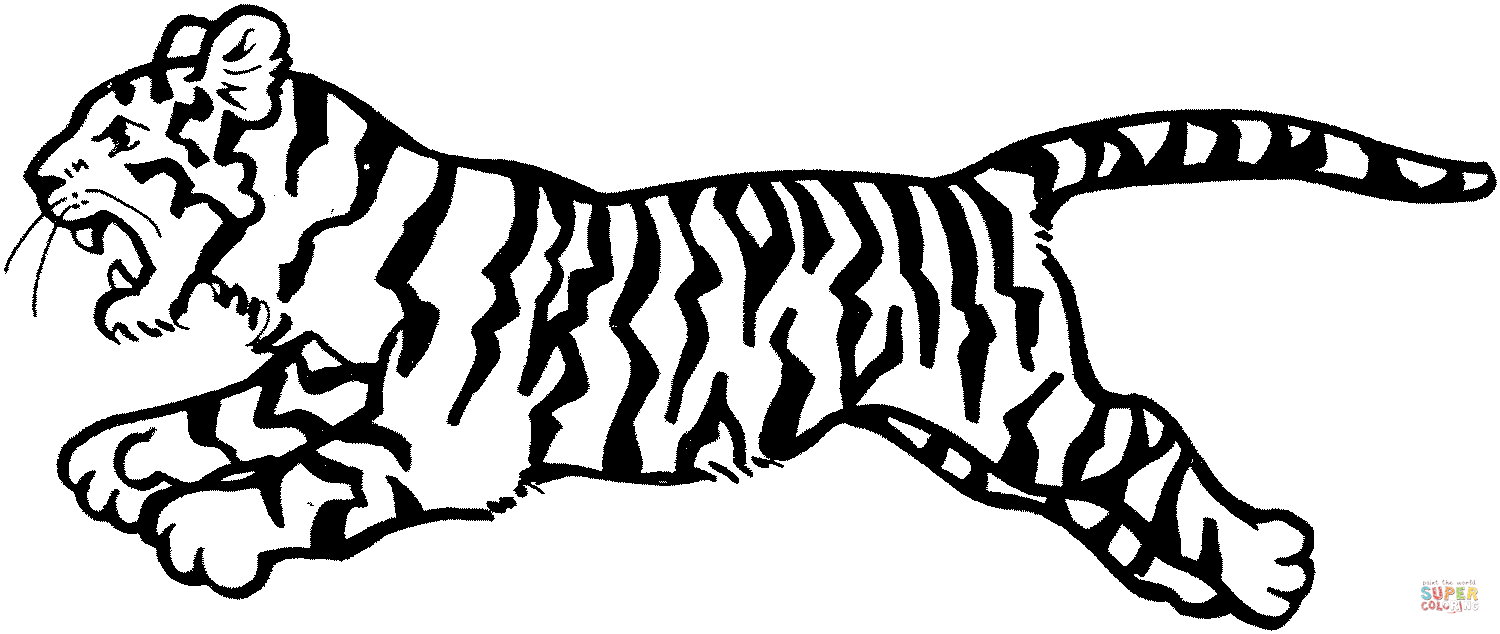 1500x634 Tiger Jumps Coloring Page Free Printable Coloring Pages